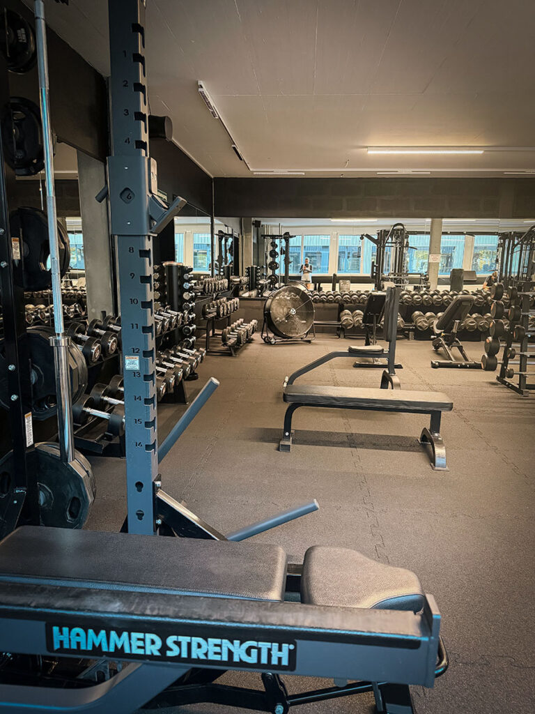 obsidian_gym_image00006 Krafttrainingsbereich im OBSIDIAN Premium Fitness Studio in Sursee mit Squat Rack, Trainingsbank, Langhantel und Kurzhanteln.