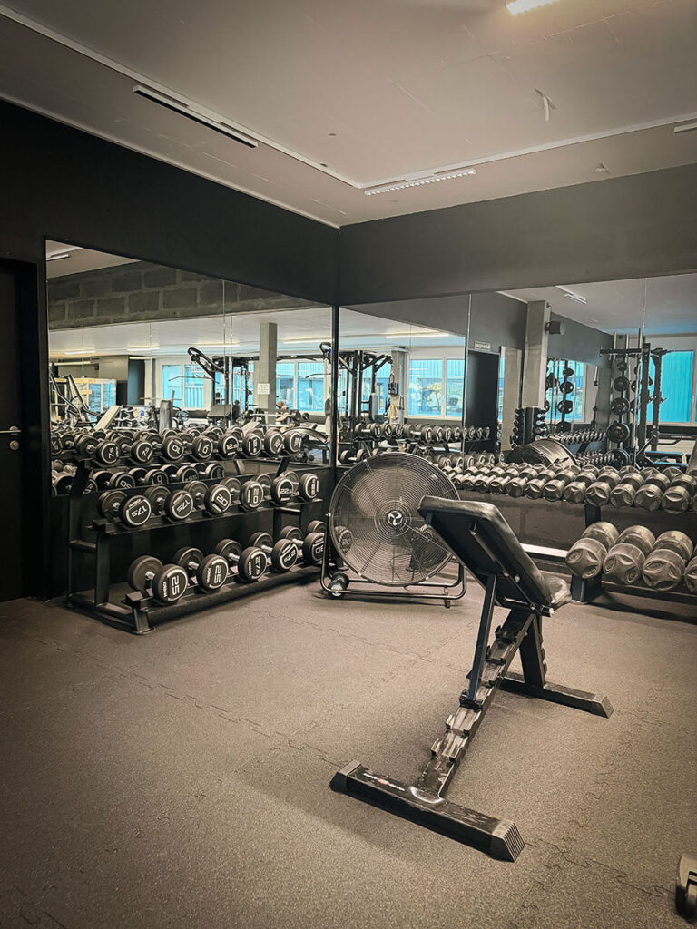obsidian_gym_image00009 Freihantelbereich im OBSIDIAN Premium Fitness Studio in Sursee mit Kurzhanteln, Trainingsbank und Spiegelwand.